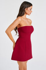 Fioreclo Asha Mini Dress in Wine