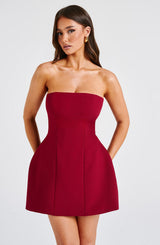 Fioreclo Asha Mini Dress in Wine