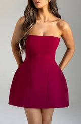 Fioreclo Asha Mini Dress in Wine