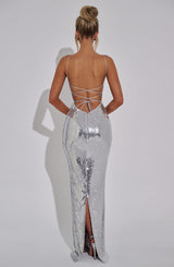 Fioreclo Atalia Maxi Dress in Silver