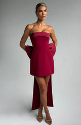 Fioreclo Bellamie Mini Dress in Wine