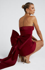 Fioreclo Bellamie Mini Dress in Wine