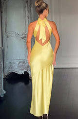Fioreclo Ettara Maxi Dress in Lemon