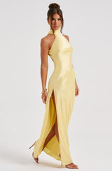 Fioreclo Ettara Maxi Dress in Lemon