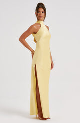 Fioreclo Ettara Maxi Dress in Lemon