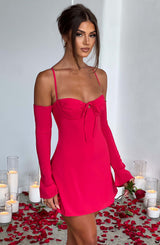 Fioreclo Fionelle Mini Dress in Pink