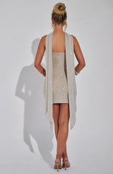 Fioreclo Ginnia Mini Dress in Silver/Nude