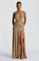 Fioreclo Minerve Maxi Dress in Beige