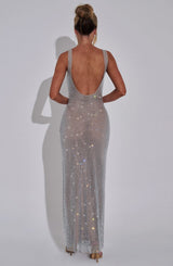 Fioreclo Petrine Maxi Dress in Silver