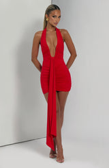 Fioreclo Rosella Mini Dress in Red