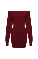 Fioreclo Sawyn Mini Dress in Burgundy